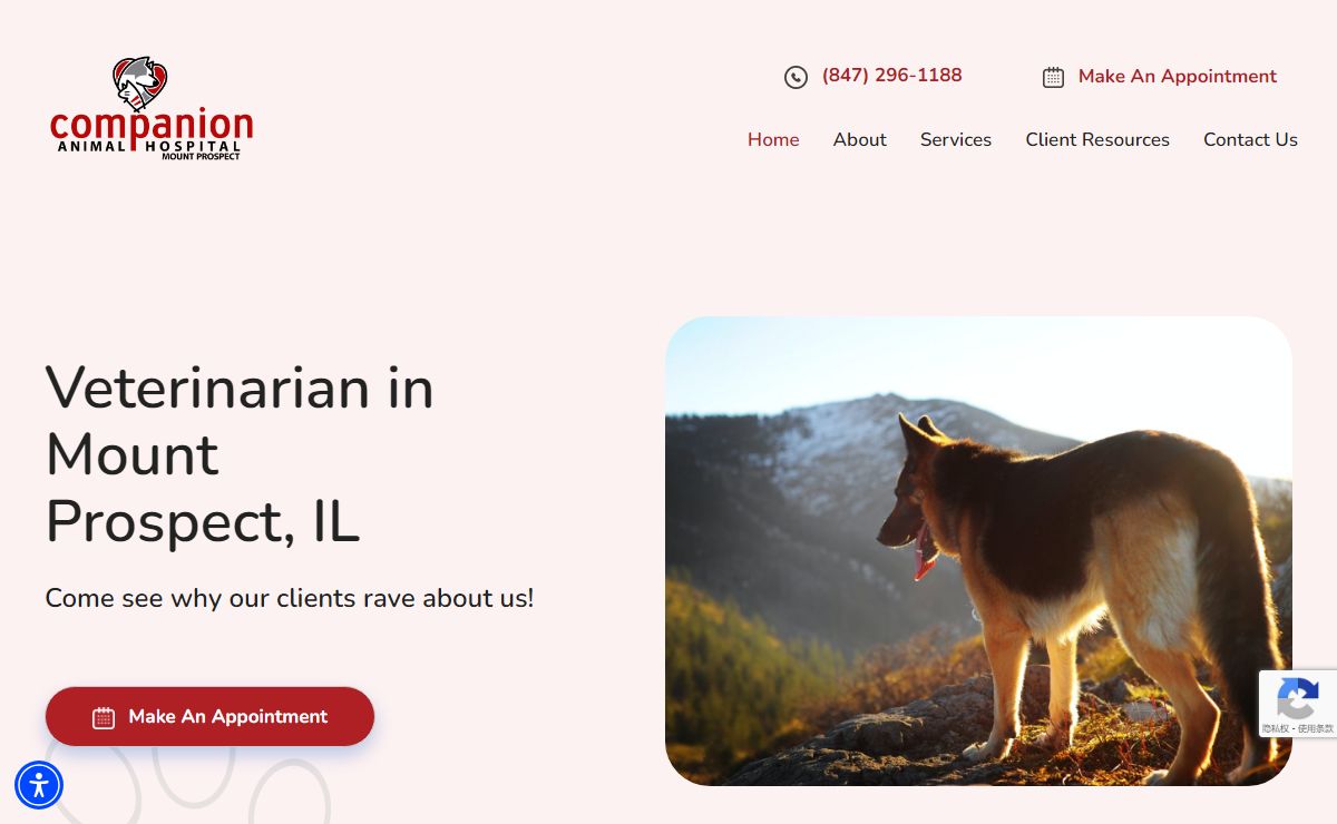 Veterinarian In Mt. Prospect, IL | Companion Animal Hospital