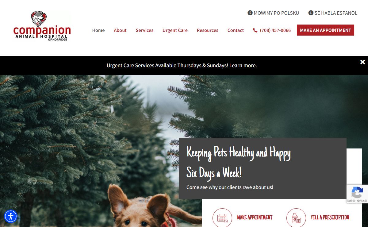 Companion Animal Hospital of Norridge | Vet in Illinois