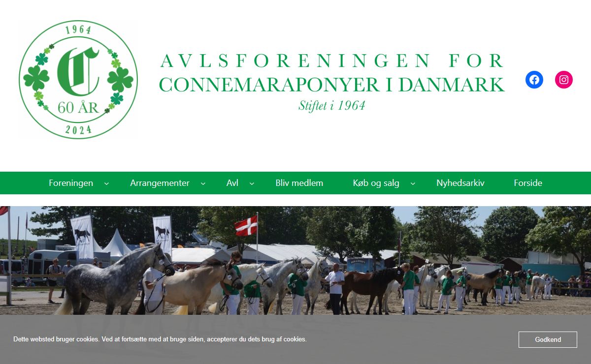 connemarapony.dk – Ponyen til hele familien