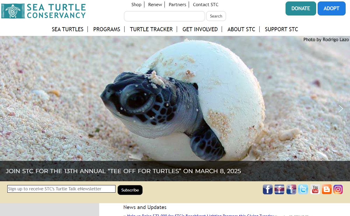 Sea Turtle Conservancy – Helping Sea Turtles Survive Since 1959
