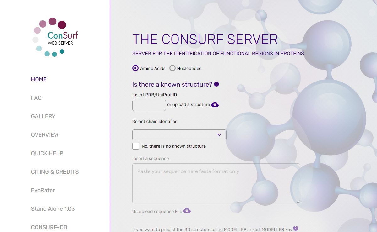 ConSurf | Evolutionary conservation profiles of proteins