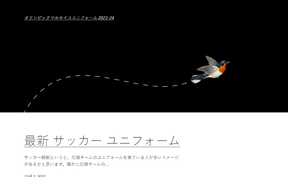 オリンピックマルセイユユニフォーム 2023-24