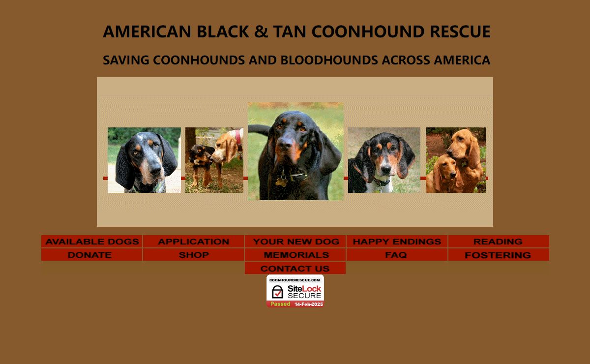 American Black and Tan Coonhound Rescue, Saving Coonhounds and Bloodhounds