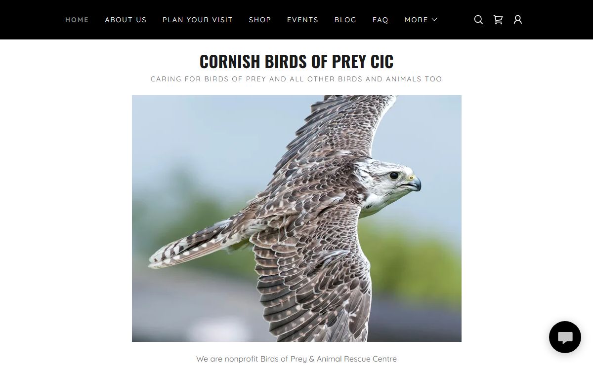 Birds of Prey - The Cornish Birds of Prey Centre