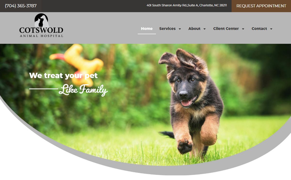 Veterinarian in Charlotte, NC | Charlotte Veterinarian, Charlotte Vet