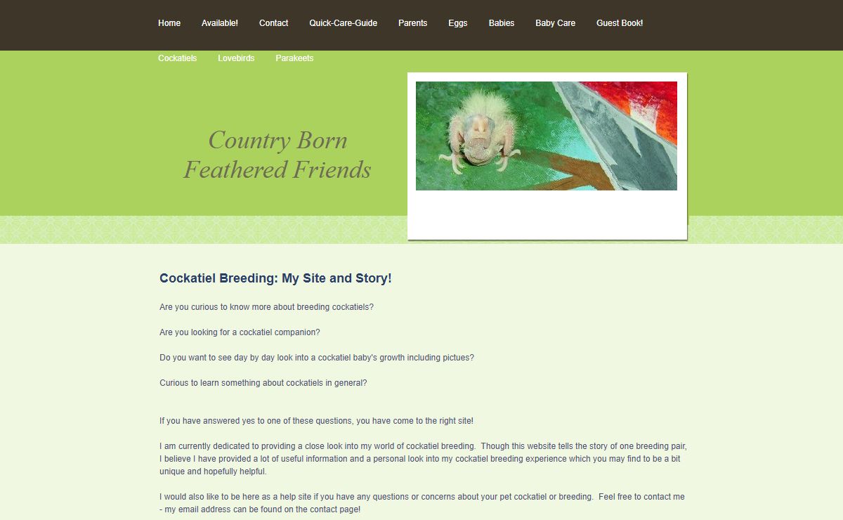 Country Born Feathered Friends - Home