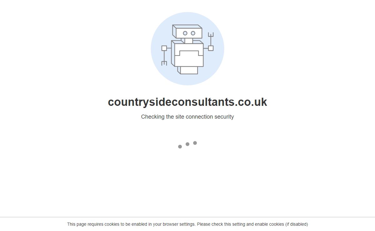 500 - Internal Server Error