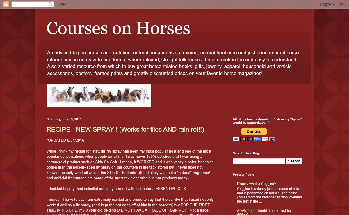 Courses on Horses