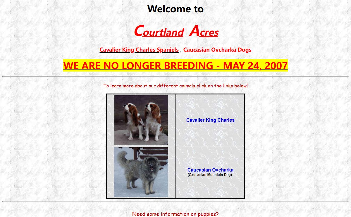 Courtland Acres - fine Canadian breeder of Cavalier King Charles Spaniel dogs!