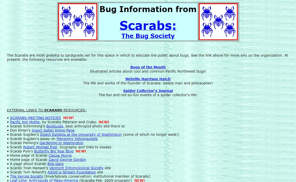 Bug Information from The Scarabs