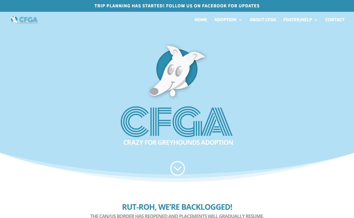 CFGA - Crazy For Greyhounds Adoption