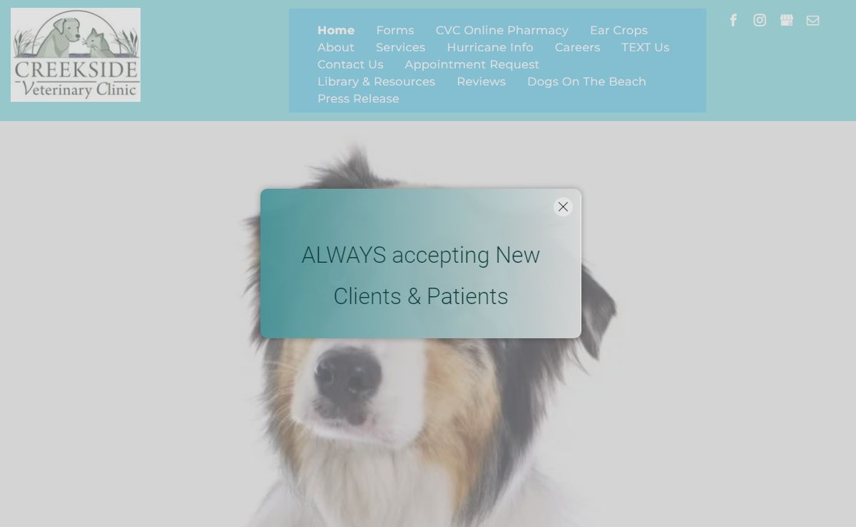 Creekside is the Best Vet for Your Pet in Goose Creek