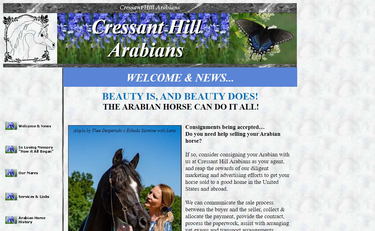 Straight Egyptian Arabin Horses of Cressant Hill Arabians Welcome and News