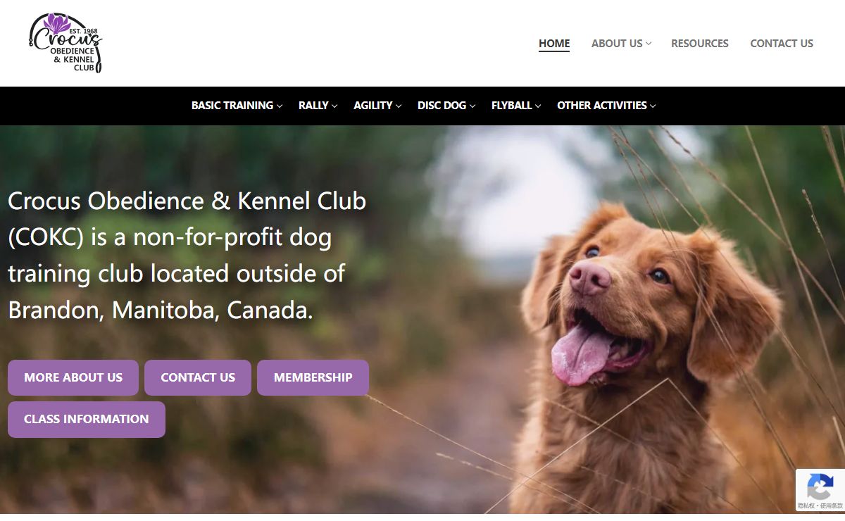 Crocus Obedience & Kennel Club