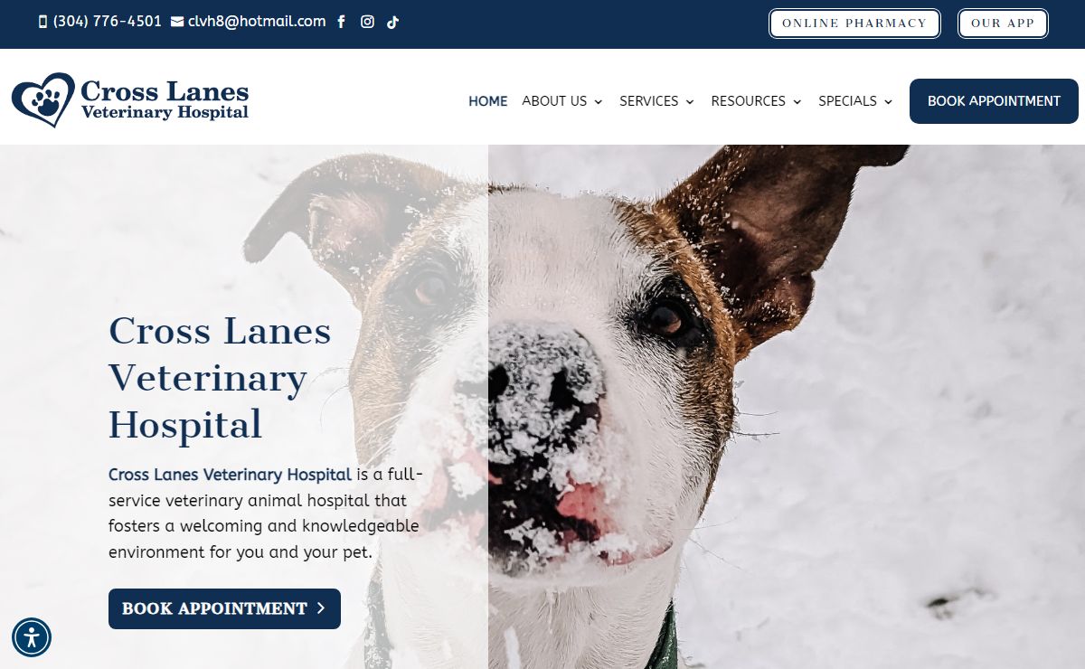 Best Vet Hospital In Cross Lanes WV | Cross Lanes Veterinary