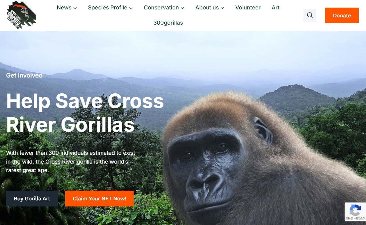 Cross River Gorilla