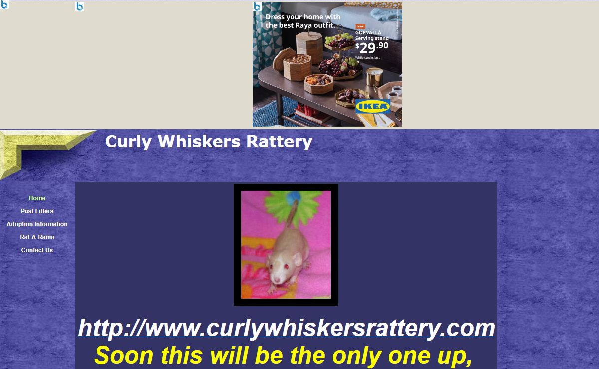 Curly Whiskers Rattery