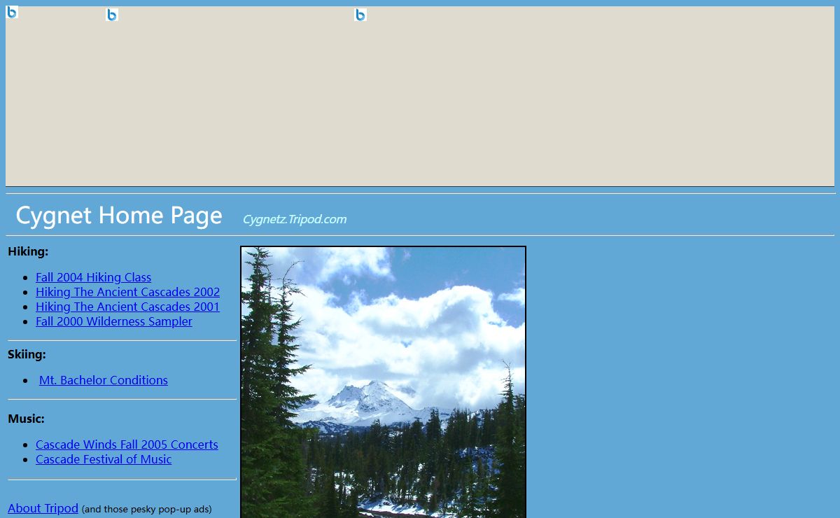 Cygnetz Home Page