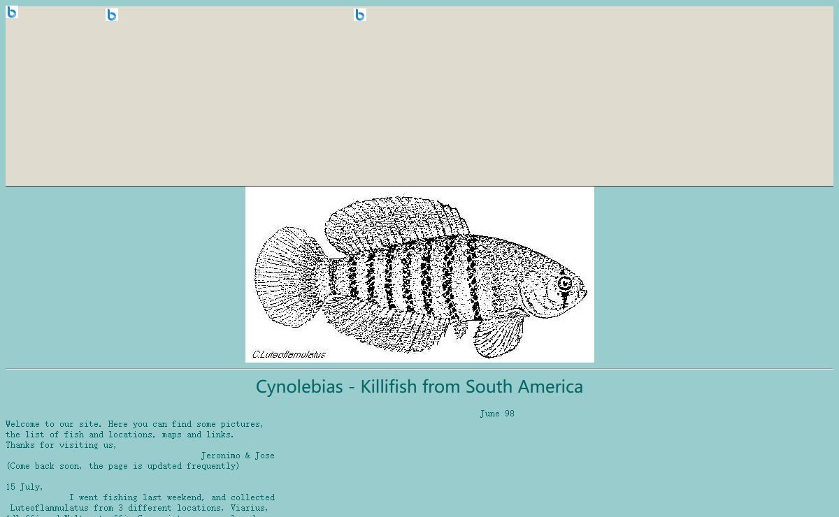 Cynolebia - Killifish from South America