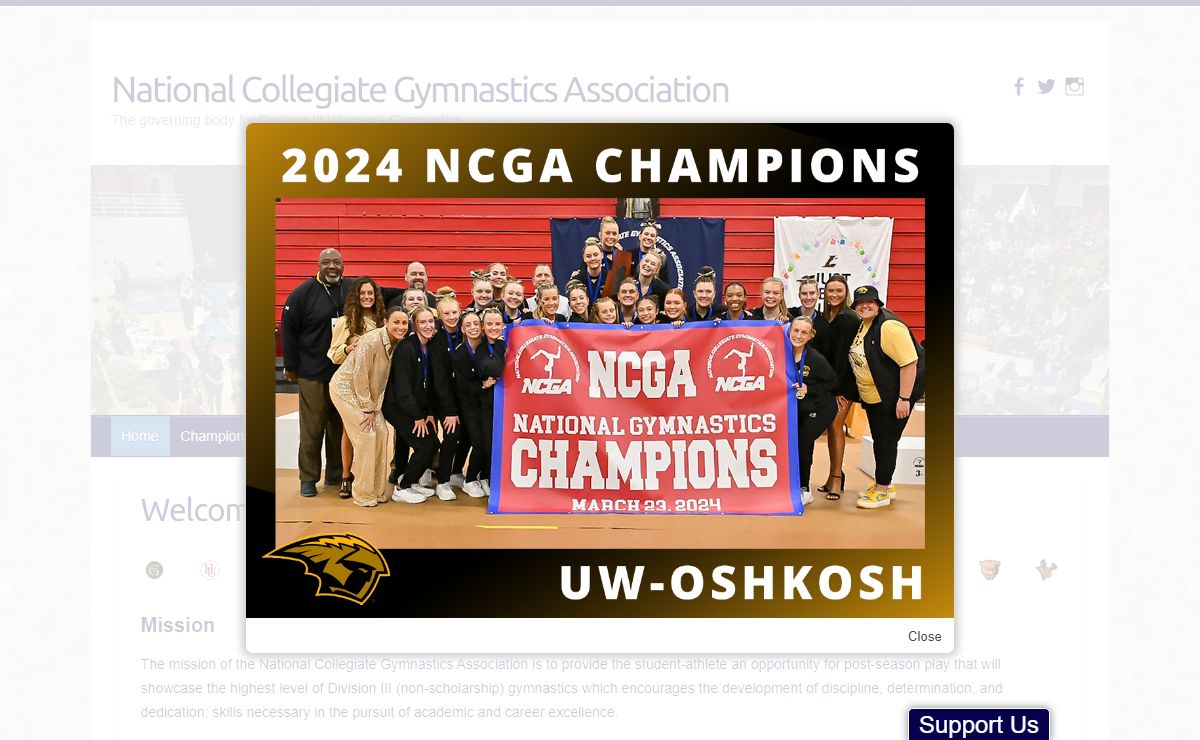 National Collegiate Gymnastics Association – The governing body for Division III Women's Gymnastics