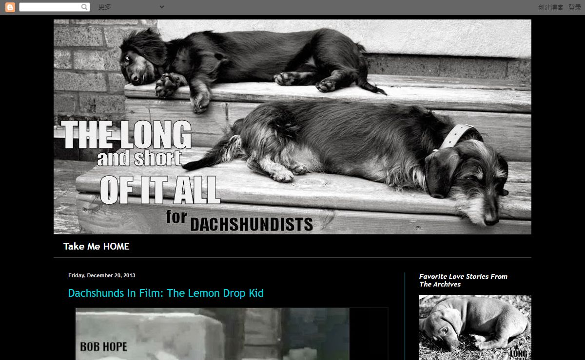 The Long and Short of it All: A Dachshund Dog News Magazine