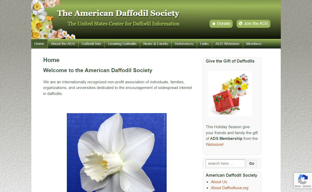 American Daffodil Society | The United States Center for Daffodil Information
