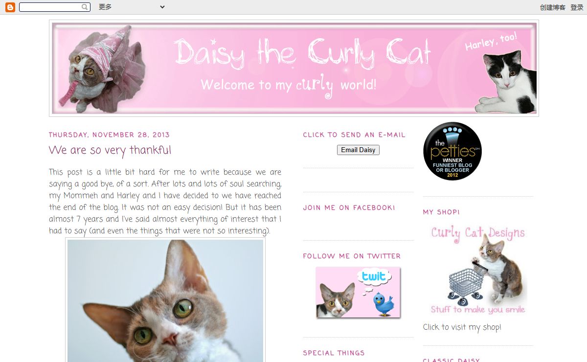 Daisy the Curly Cat
