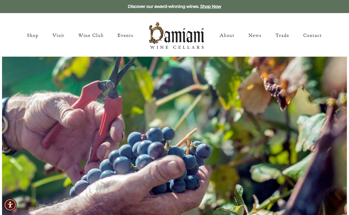 Finger Lakes Winery - Damiani Wine Cellars