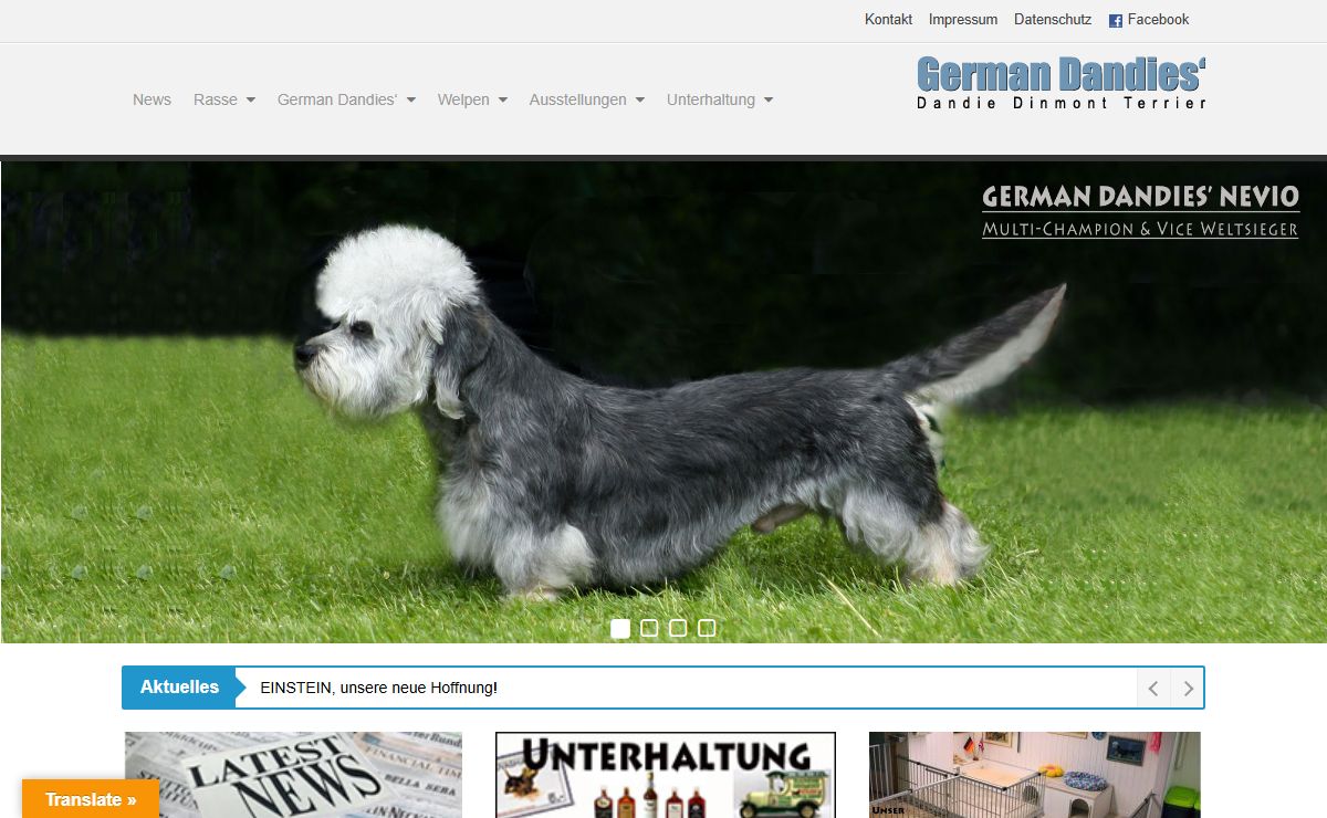 Startseite -