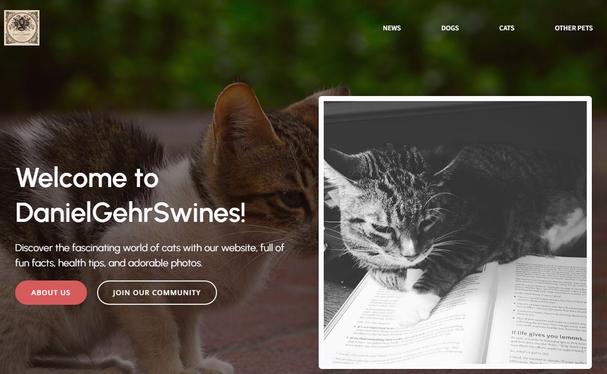 danielgehrswines - Life in the Water: Animal Wonders - danielgehrswines.com