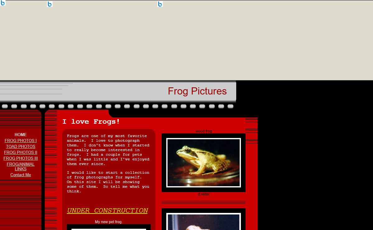 Frog Pictures