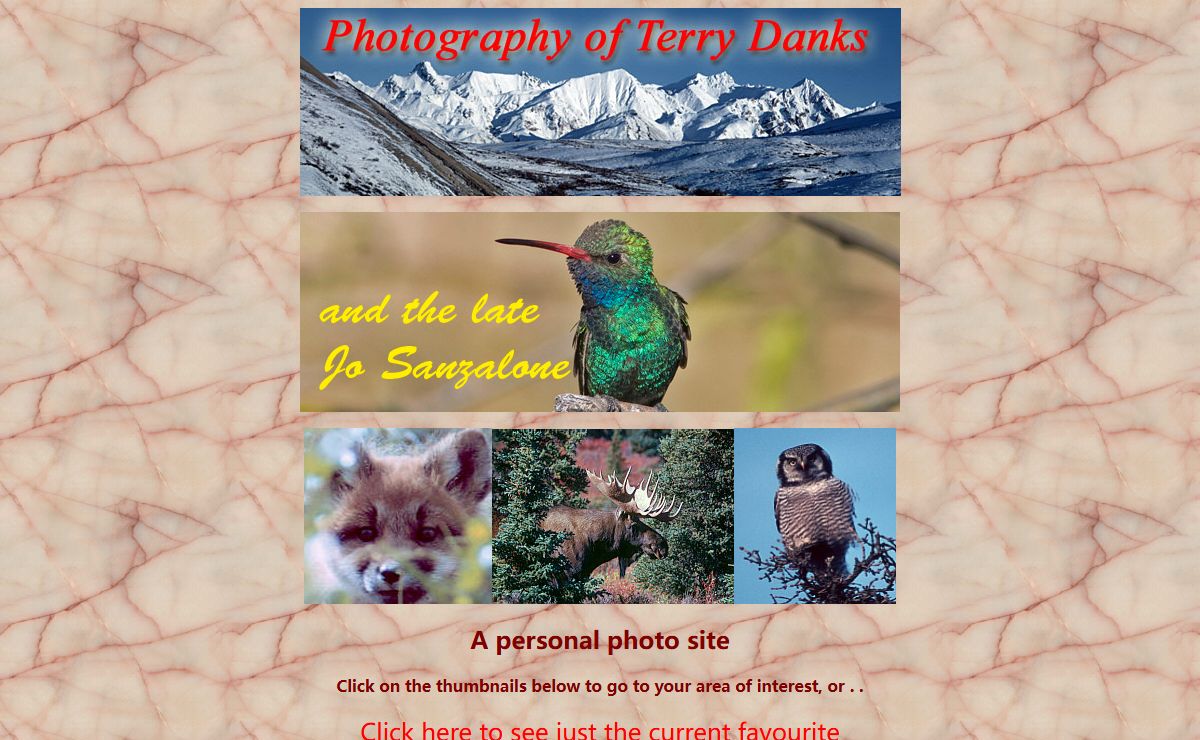 The Wildlife and Nature Photography of Terry Danks and Jo Sanzalone