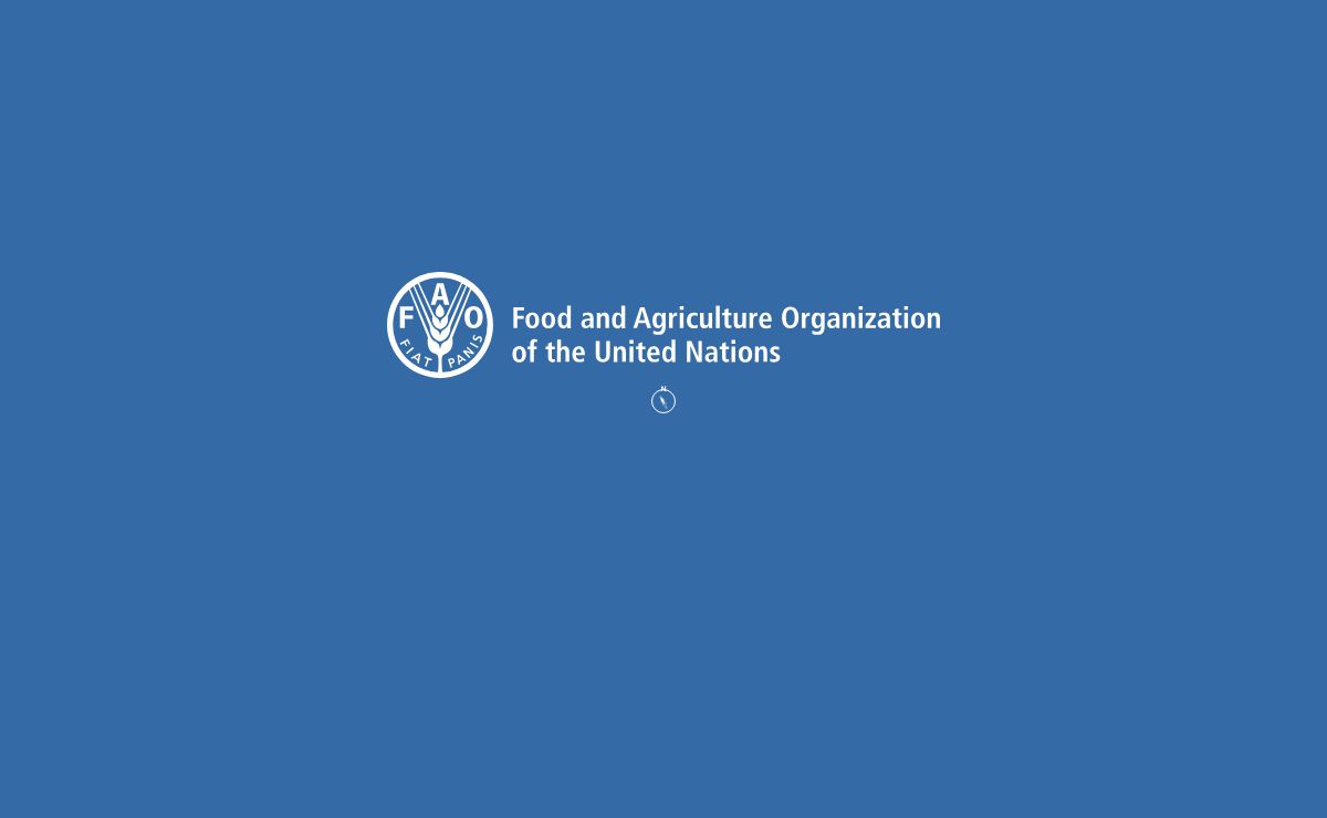 FAO Hand-in-Hand