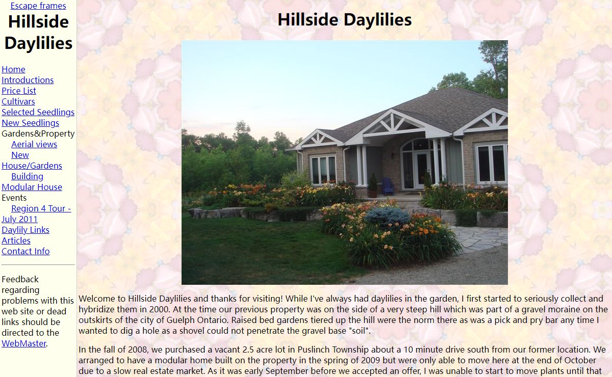 Hillside Daylilies
