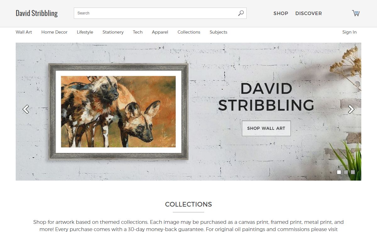 David Stribbling - Official Website