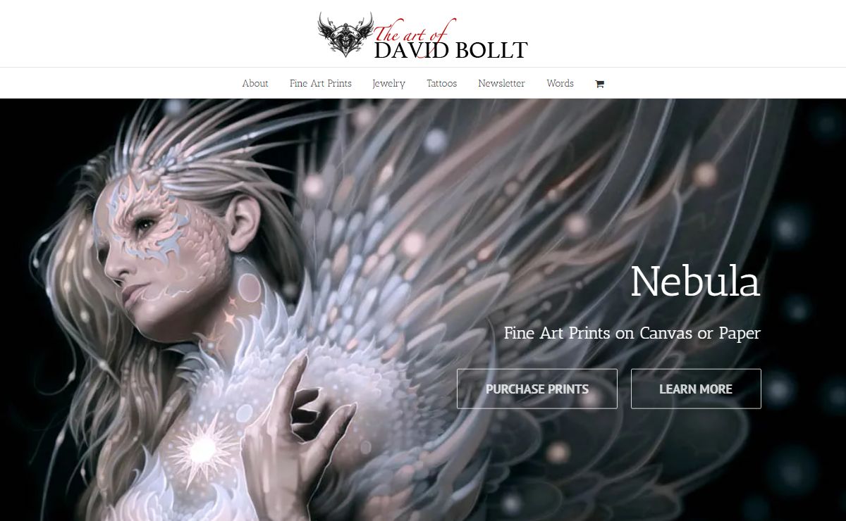 Home Bollt - David Bollt