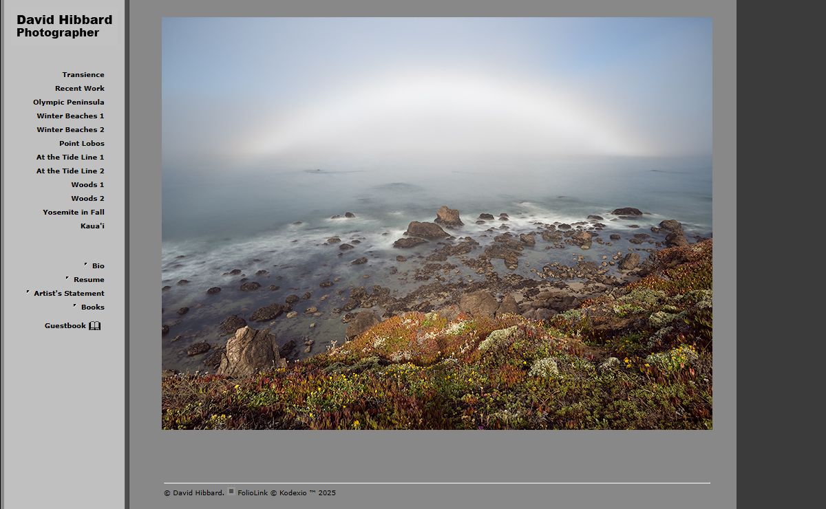 David Hibbard Portfolio - Transience, Recent Work, Olympic Peninsula, Winter Beaches 1, Winter Beaches 2, Point Lobos, At the Tide Line 1, At the Tide Line 2, Woods 1, Woods 2, Yosemite in Fall, Kaua'i
