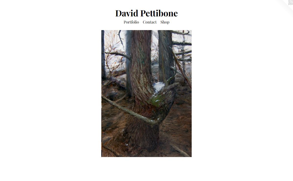 David Pettibone