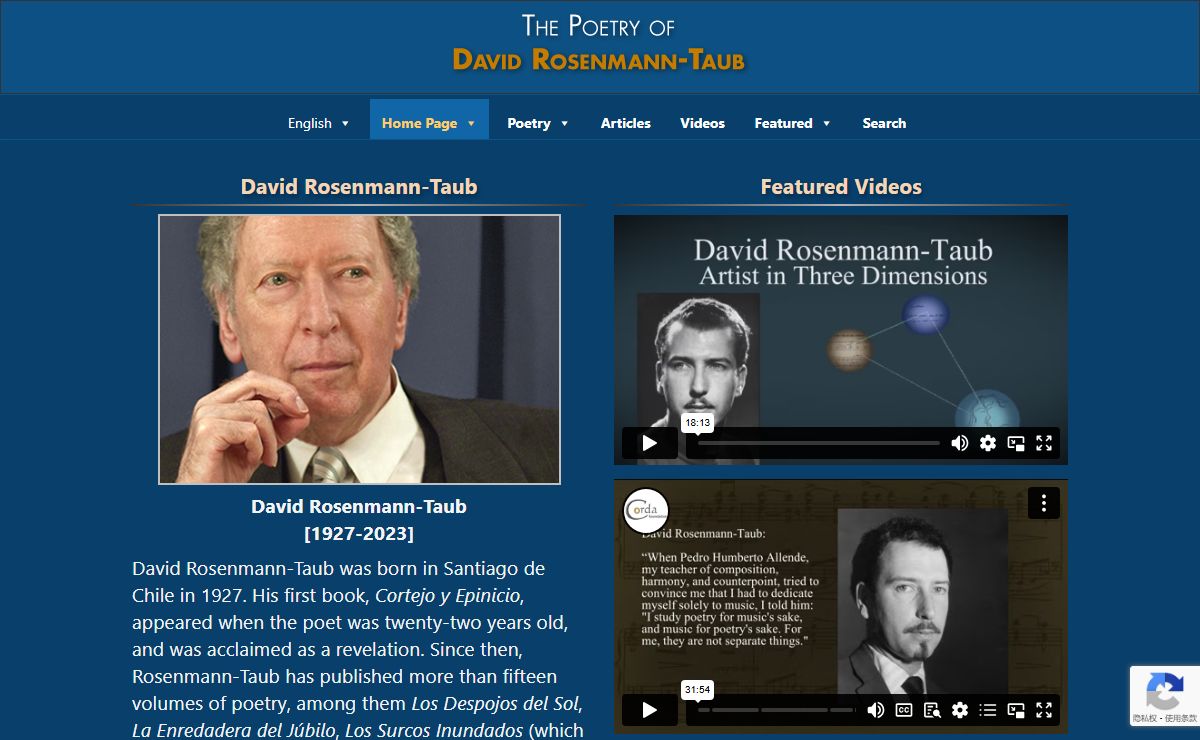 The Poetry of David Rosenmann-Taub