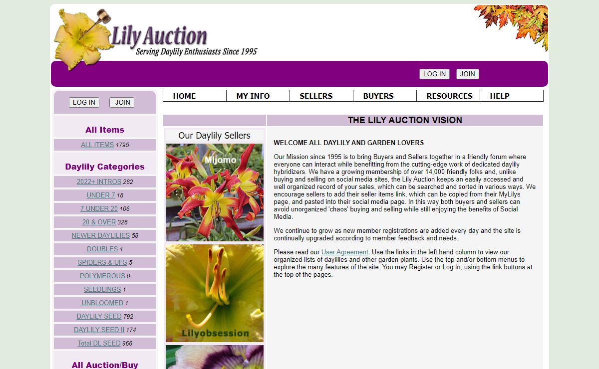 the Lily Auction - The Fun Daylily Marketplace