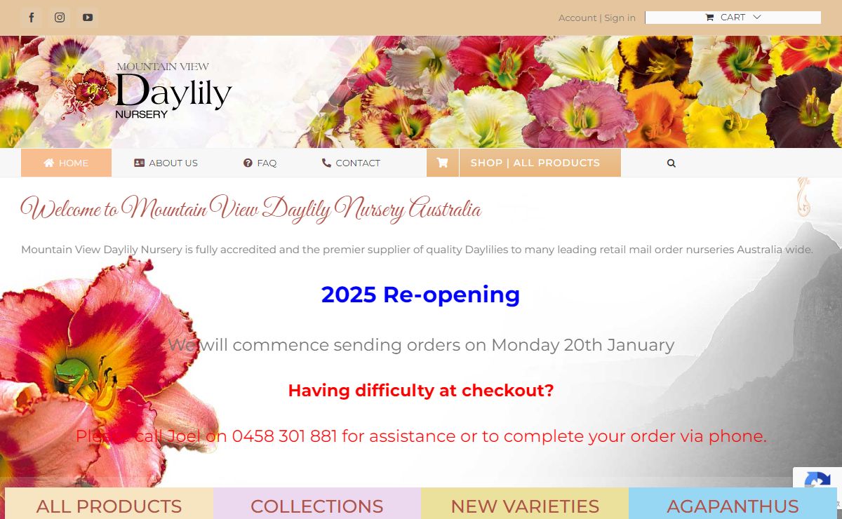 Daylilies Australia | Mountain View Daylily Nursery | Maleny