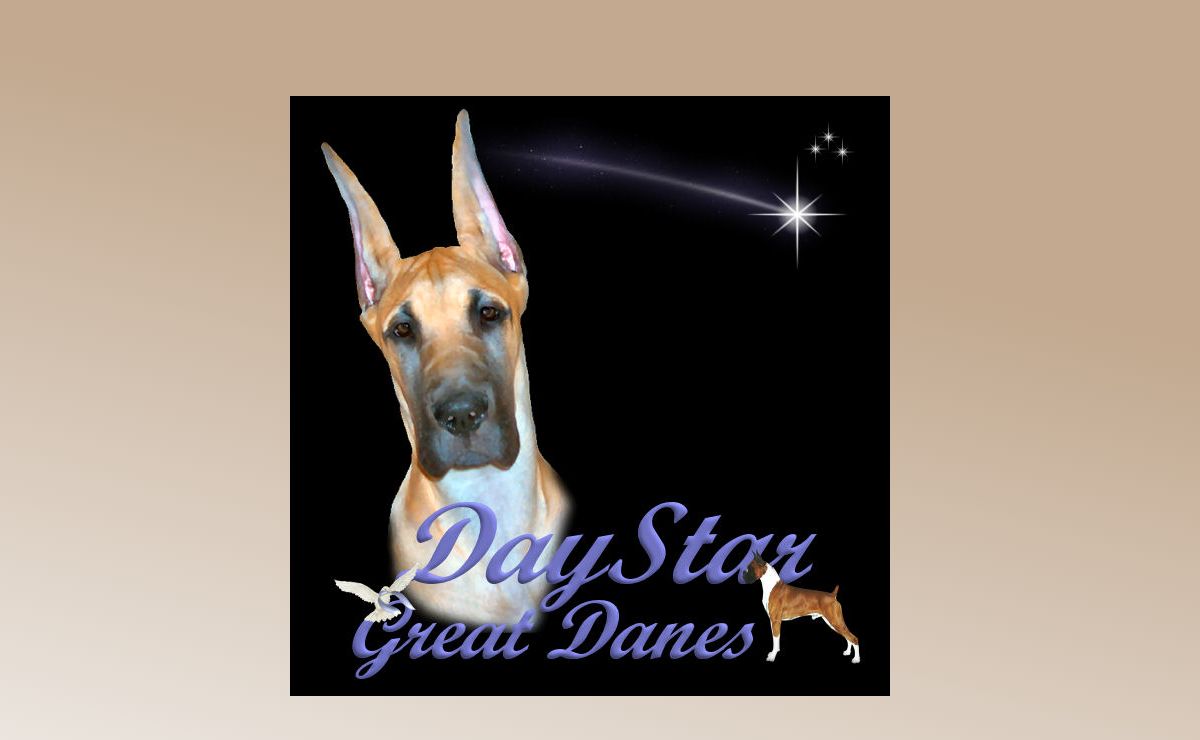 DayStar Danes – My WordPress Blog