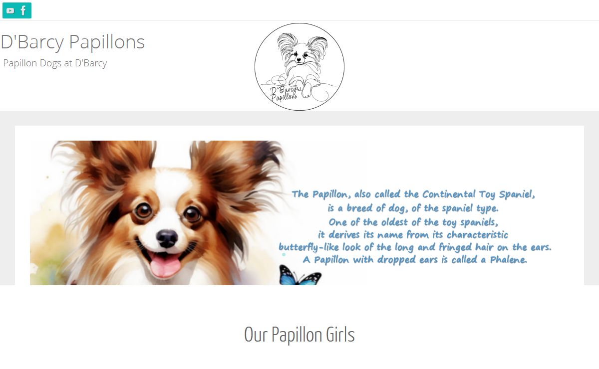 D'Barcy Papillons – Papillon Dogs at D'Barcy