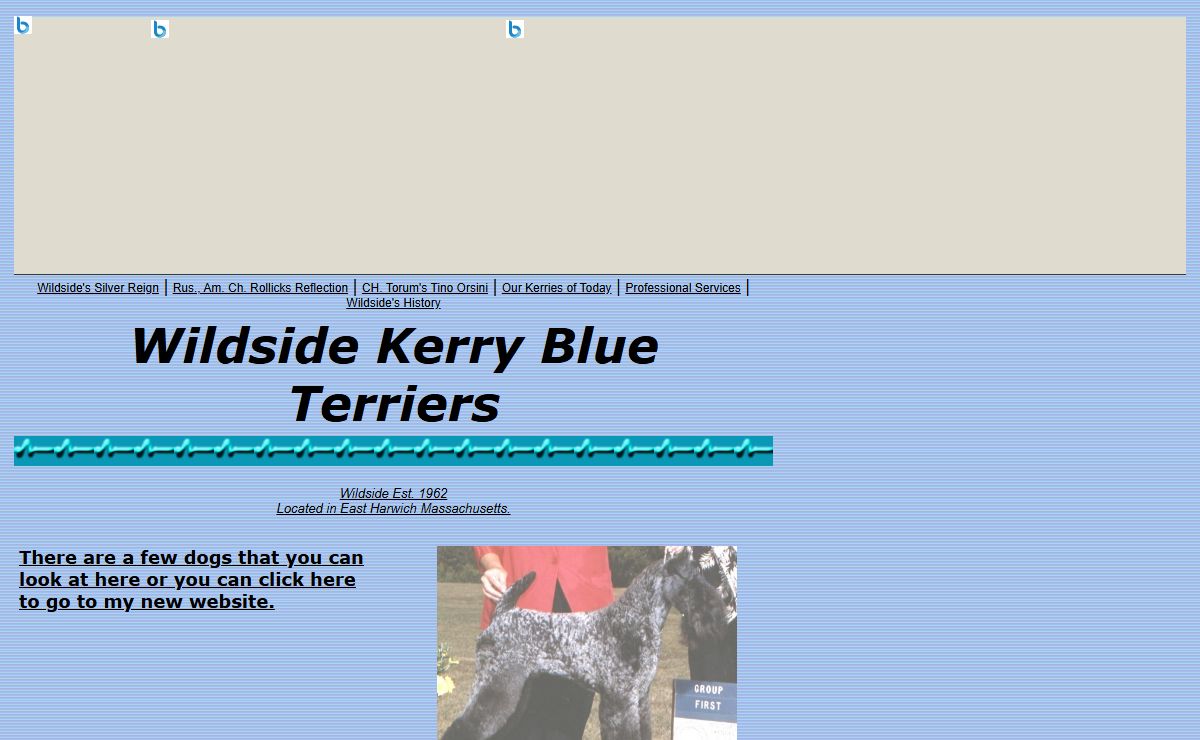 Wildside Kerry Blue Terriers