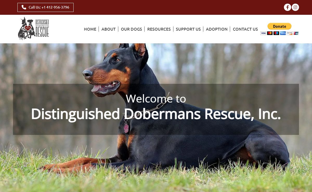 Distinguished Dobermans Rescue | Animal Shelter | Clinton, PA
