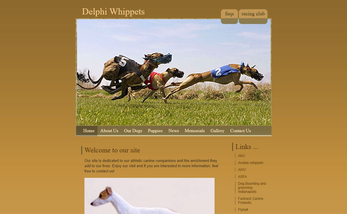 Delphi Whippets