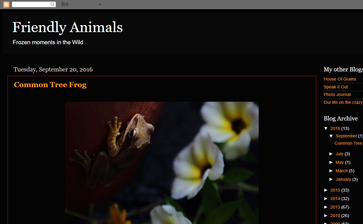 Friendly Animals