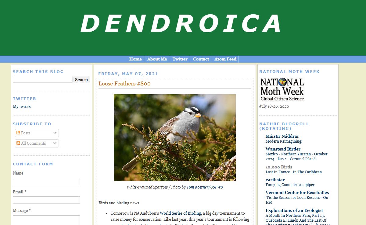 Dendroica