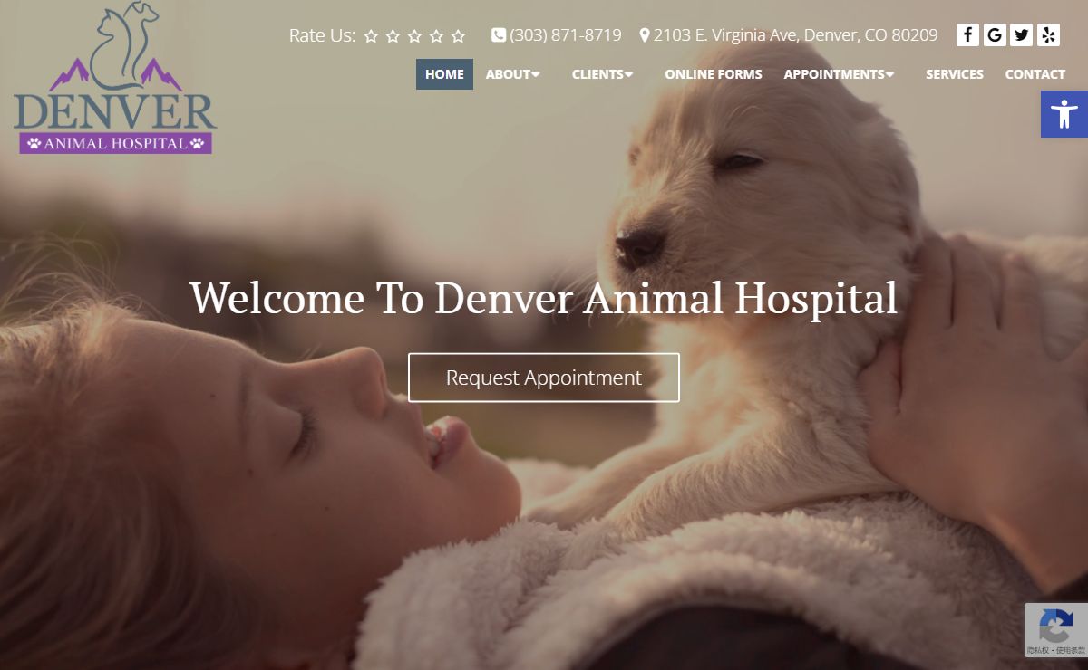 Veterinarian in Denver, CO | Denver Animal Hospital