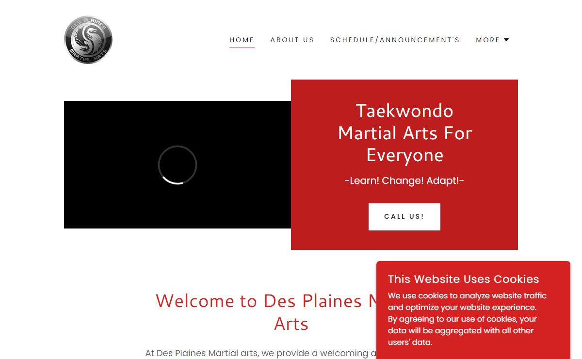 Top Martial Arts Classes in Desplaines
